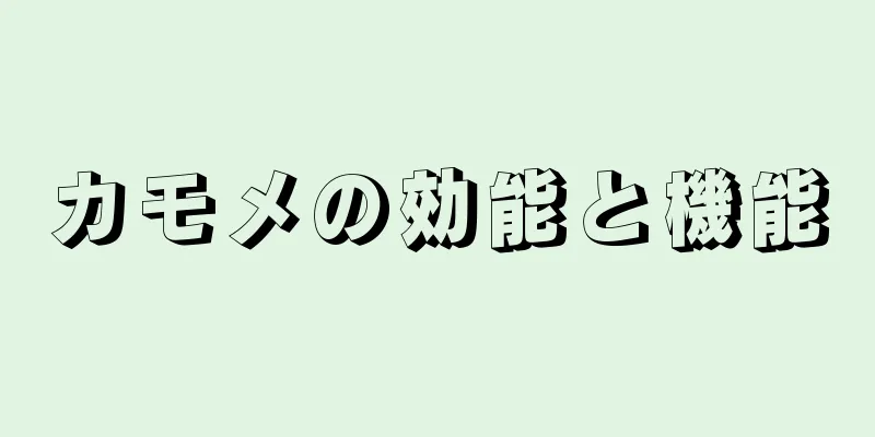 カモメの効能と機能