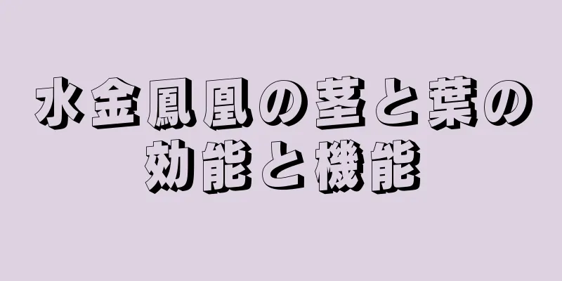 水金鳳凰の茎と葉の効能と機能