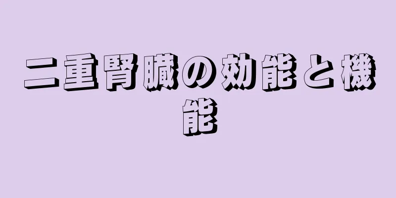 二重腎臓の効能と機能