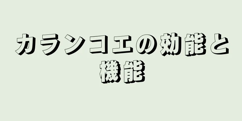 カランコエの効能と機能