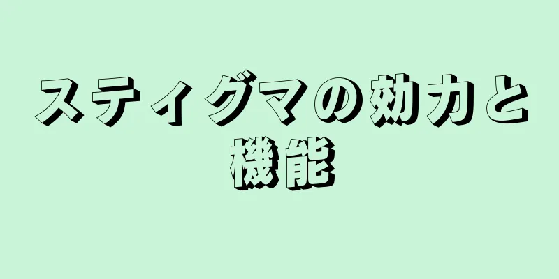 スティグマの効力と機能