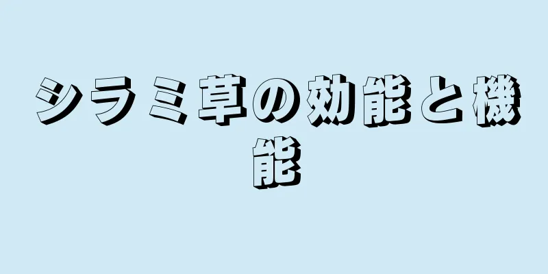 シラミ草の効能と機能