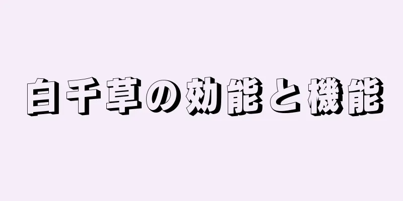 白千草の効能と機能