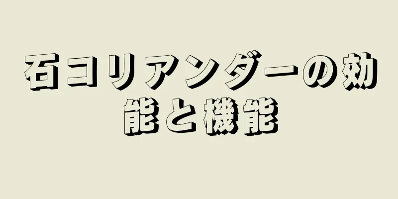 石コリアンダーの効能と機能