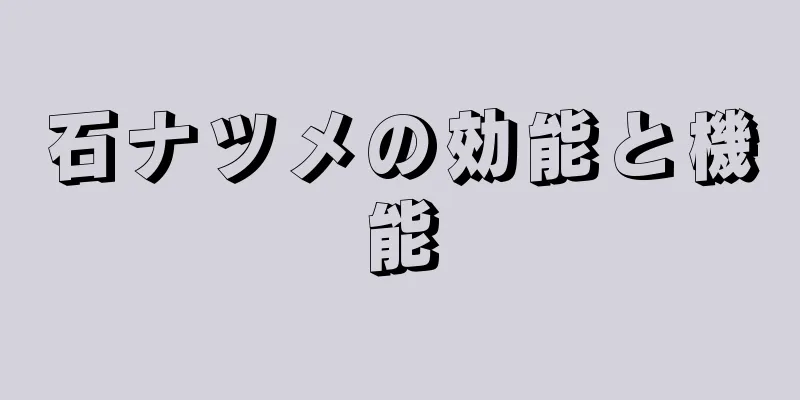 石ナツメの効能と機能
