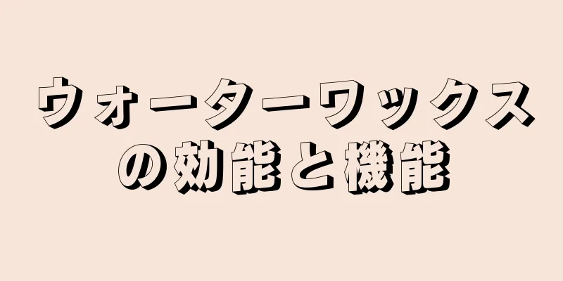 ウォーターワックスの効能と機能