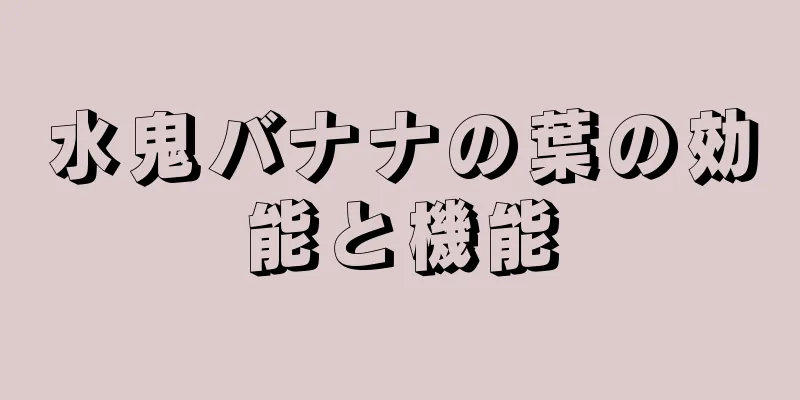 水鬼バナナの葉の効能と機能