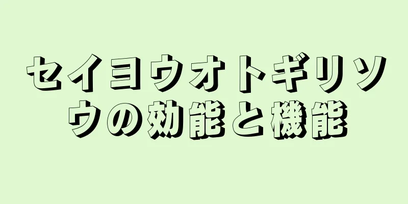 セイヨウオトギリソウの効能と機能