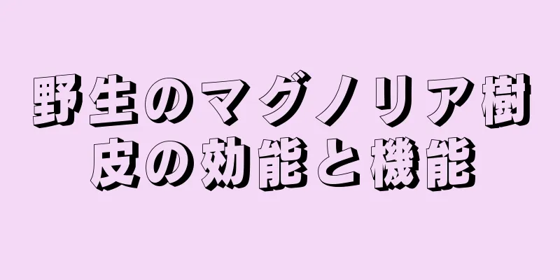 野生のマグノリア樹皮の効能と機能