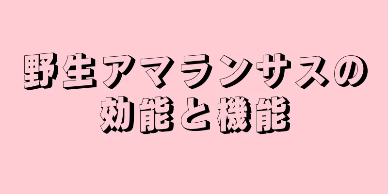 野生アマランサスの効能と機能