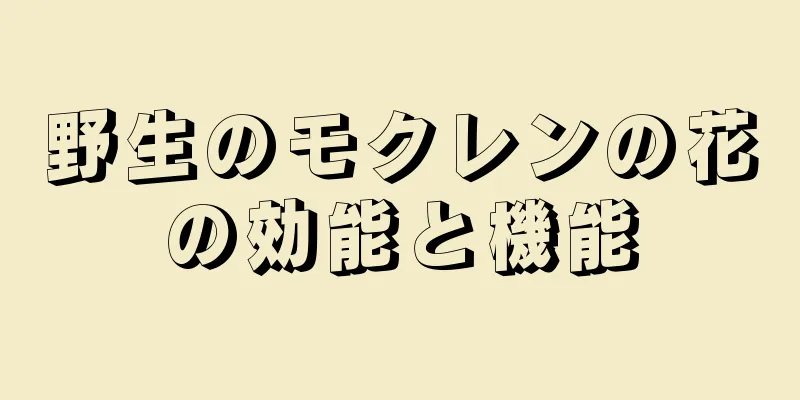野生のモクレンの花の効能と機能