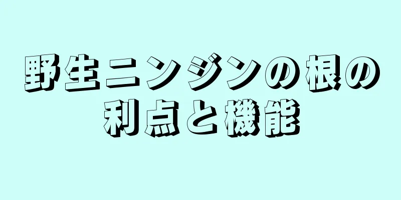 野生ニンジンの根の利点と機能