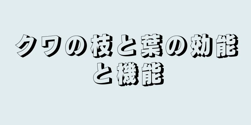 クワの枝と葉の効能と機能