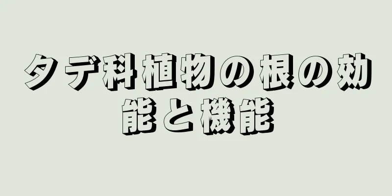 タデ科植物の根の効能と機能
