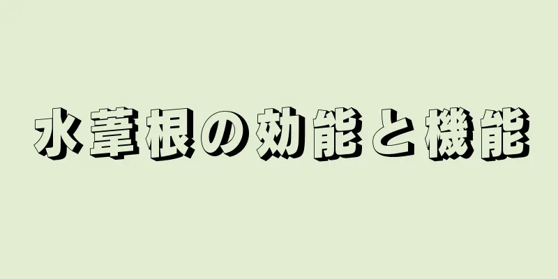 水葦根の効能と機能