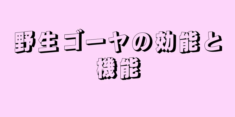 野生ゴーヤの効能と機能
