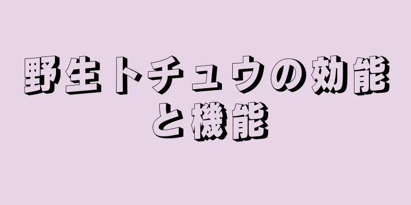 野生トチュウの効能と機能