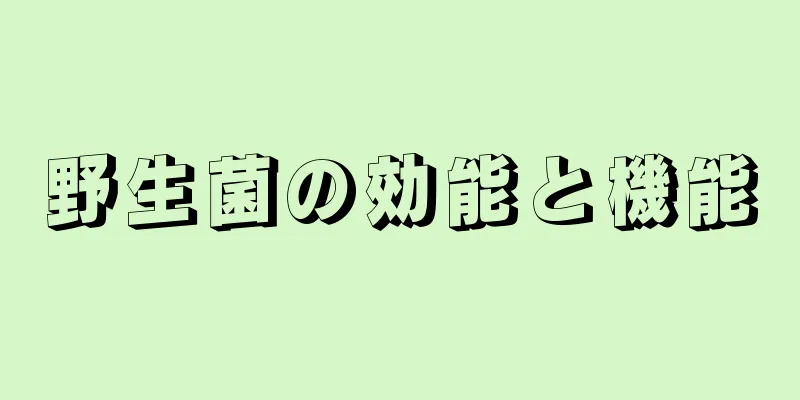 野生菌の効能と機能