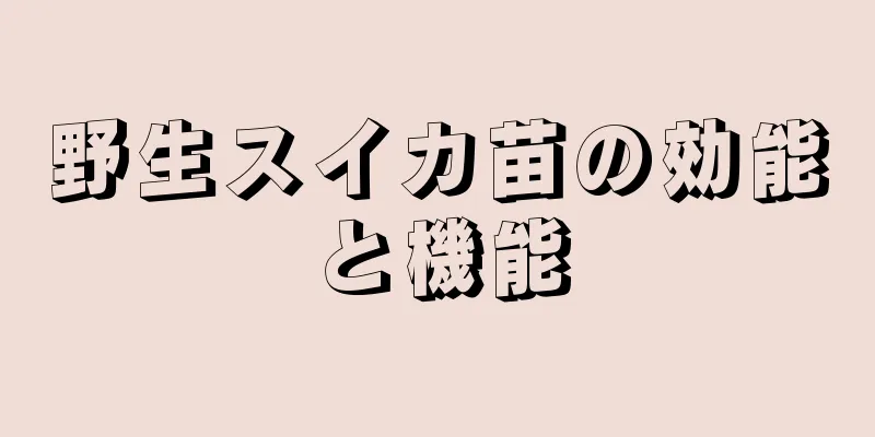 野生スイカ苗の効能と機能