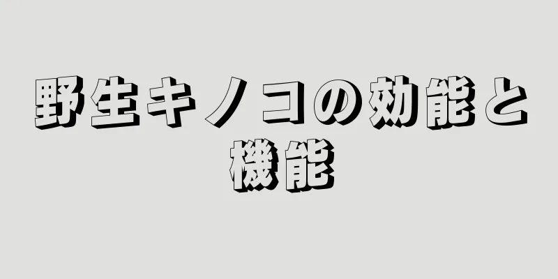 野生キノコの効能と機能