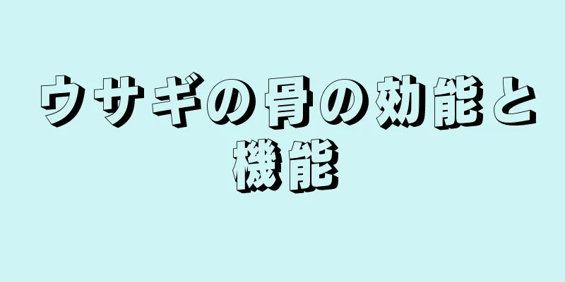 ウサギの骨の効能と機能