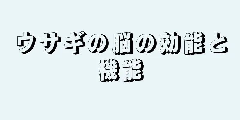 ウサギの脳の効能と機能