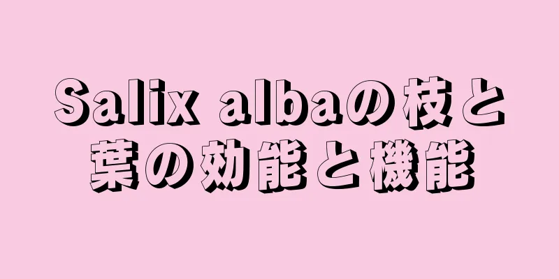 Salix albaの枝と葉の効能と機能