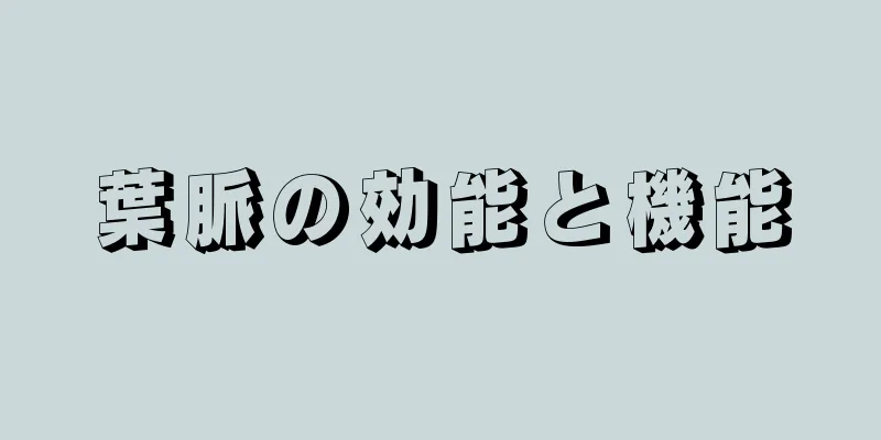 葉脈の効能と機能
