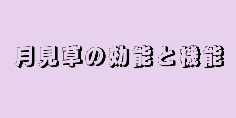 月見草の効能と機能