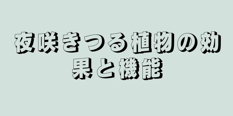 夜咲きつる植物の効果と機能