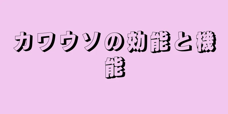 カワウソの効能と機能