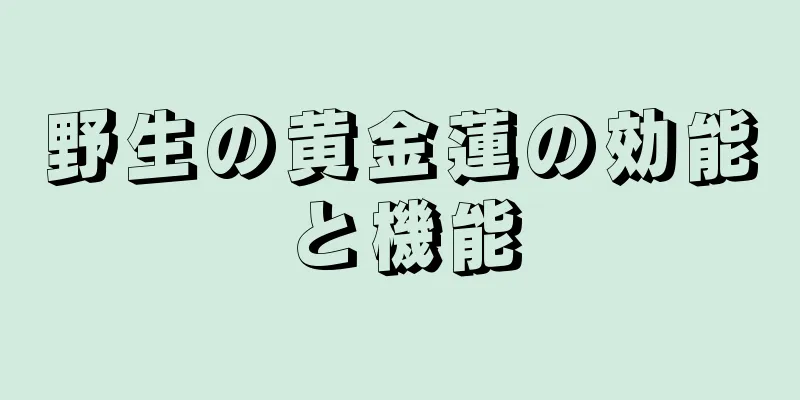 野生の黄金蓮の効能と機能