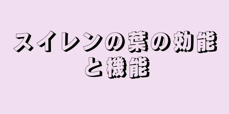 スイレンの葉の効能と機能