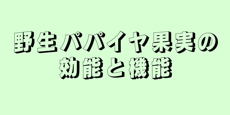 野生パパイヤ果実の効能と機能