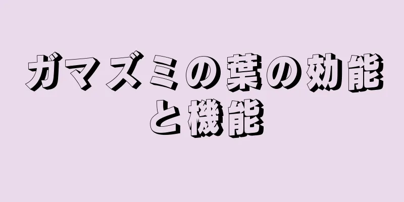 ガマズミの葉の効能と機能