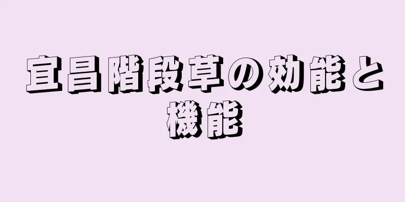 宜昌階段草の効能と機能