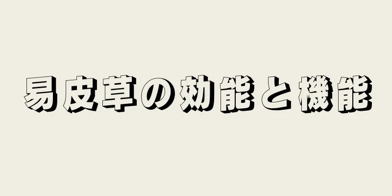 易皮草の効能と機能
