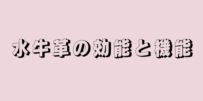水牛革の効能と機能