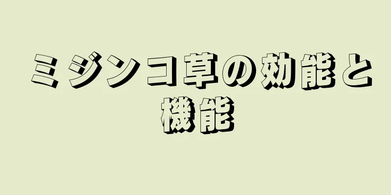 ミジンコ草の効能と機能