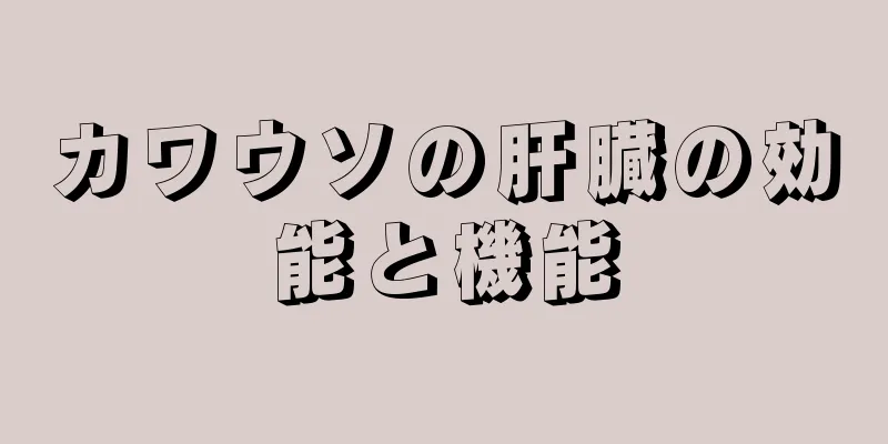 カワウソの肝臓の効能と機能