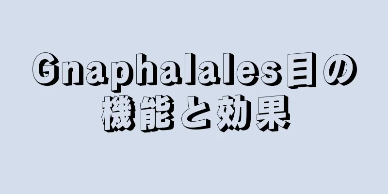 Gnaphalales目の機能と効果