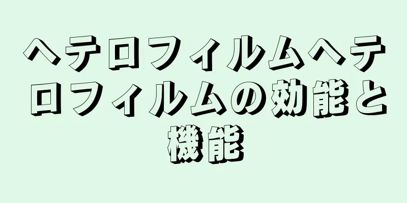 ヘテロフィルムヘテロフィルムの効能と機能