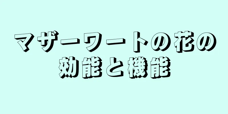 マザーワートの花の効能と機能