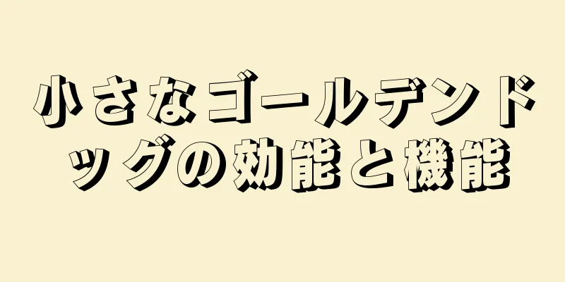 小さなゴールデンドッグの効能と機能