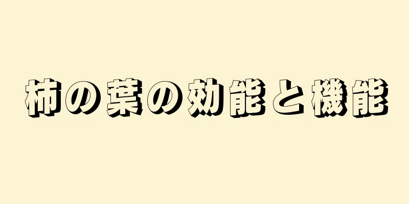 柿の葉の効能と機能