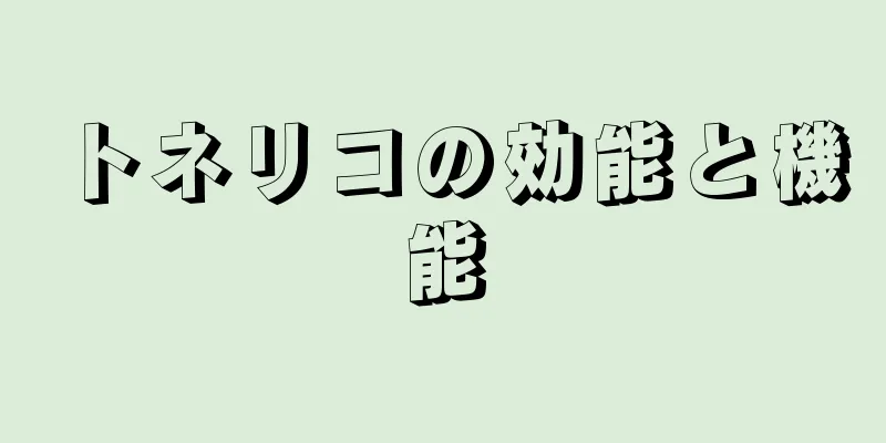 トネリコの効能と機能