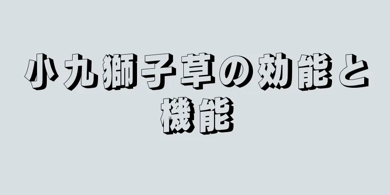 小九獅子草の効能と機能