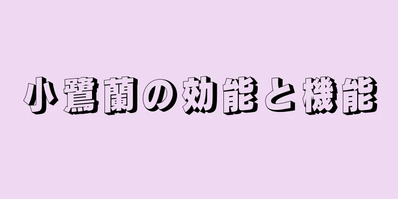 小鷺蘭の効能と機能