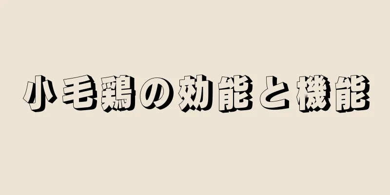 小毛鶏の効能と機能