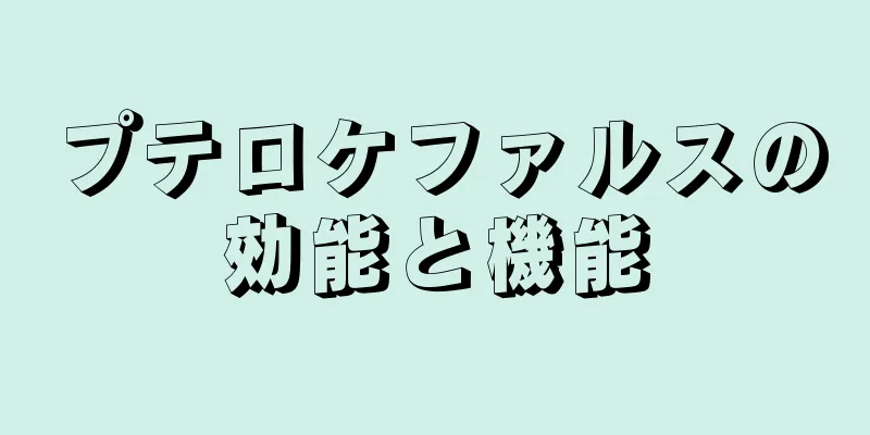 プテロケファルスの効能と機能